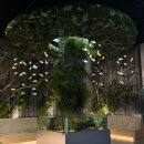 대구비즈니스센터 | 대구 근교 실내 아이랑 가볼만한 곳｜상주 관상어 비즈니스센터 방문 후기