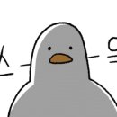 손부대찌개 이미지