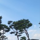 대영힐스CC 5월 3부 라운딩 후기 및 코스 공략.