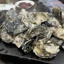 참빛생굴구이 이미지