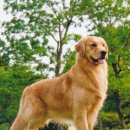 계산메디칼센터 이미지