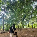 파주시유아숲체험원 | 33개월아기랑 가을나들이! 파주 운정호수공원 유아숲체험원 후기 (feat. 운정호수공원 주차, 운정호수...