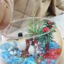 나만의세상 테라리움 만들기 이미지