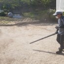 동명초교병설 이미지