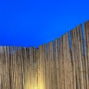 홍시스테이 이미지