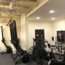 크로스핏 코알라 이미지