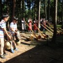 힐링우드2 이미지