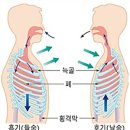 가든리체프라자 이미지