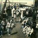 배상선농장 이미지