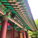 [남산골 한옥마을]_탐방 후기/남산한옥마을 공영주차장 정보_feat.명동