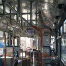 리오동물병원 | KYOTO DAY 3•4