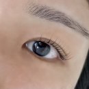 텀즈네일 | 검암속눈썹펌 텀즈스튜디오 : 내돈내산 자연스러운 속눈썹 후기