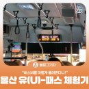 (유)삼성교통 | [블로그 기자] “버스비를 이렇게 돌려받다니!” 뚜벅이의 울산 유(U)-패스 체험기
