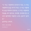 로망스안경 이미지