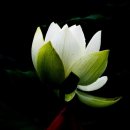 합덕인력