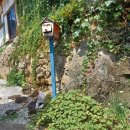 소리야네집 이미지