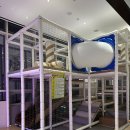 초원 농원 | [내돈내산] 부산진구 양정맛집 고급스러운 분위기의 국제식품 초원농원 솔직후기(가족외식 명소)(행사정보)