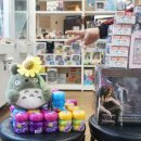 레인보우뽑기팡 이미지