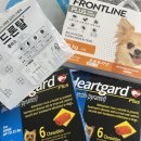 구구동물병원 이미지