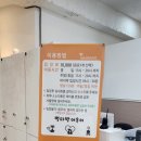 별다방 야옹이 이미지