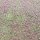 금반농장 이미지