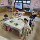 🥬🥬갓물김치 만들기🥬🥬 이미지