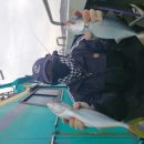 2일포항구룡포웨이브호겨울방어지깅배낚시느냐느냐~ 이미지