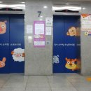 앞선소아과청소년과의원 네이버블로그