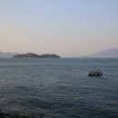 풍성횟집 이미지