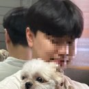 두둥실뒷고기 이미지