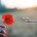 별마음