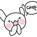 제니스영어뮤지컬학원