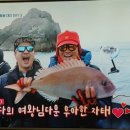 도시어부 이미지