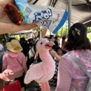 VIP게임랜드 이미지