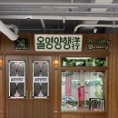광장시장 데이트 코스 추천 올리브영 광장마켓점 (올영양행)