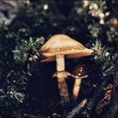 의정부약국 이미지