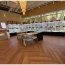 도그플레이스 이미지