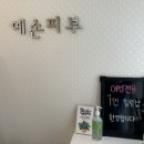 예손피부 이미지