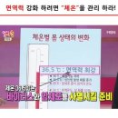 유니의하루 이미지