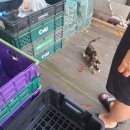 세븐일레븐태안신두리점 이미지