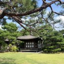 한국전통음식박물관 | 가구박물관 전통 한옥 돌스냅 돌사진 촬영 후기 오색책거리 상차림