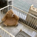 살롱드베베 이미지