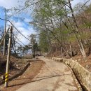 화도초등학교 이미지