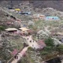 섬진강봄소식 이미지