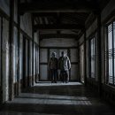 윤 1981