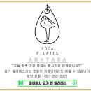 아비아사요가엔필라테스