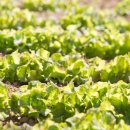 서림동-3 이미지