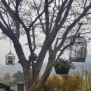 꽃님이네 이미지