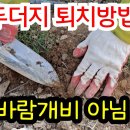 두더지 퇴치 나푸타린 이미지