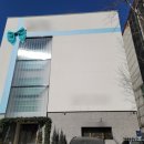 상주제일정비공장 | 수면마취 울쎄라400샷 AI울쎄라 AI메타스캔으로 정밀 진단 받고 커스터마이징 리프팅 받은 후기